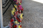 chocolions2012