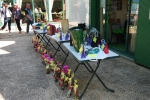 lotlions2012