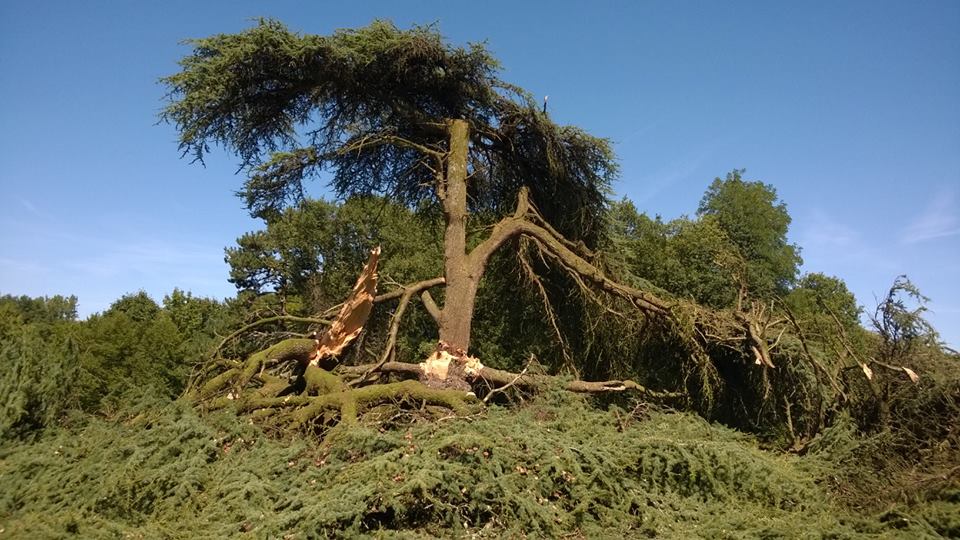 11219138_909590572450527_3675328794405915131_n