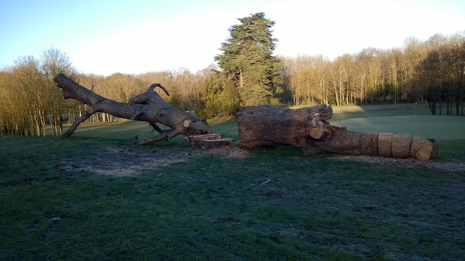 15977998_1267094216700159_2121933482757676890_n